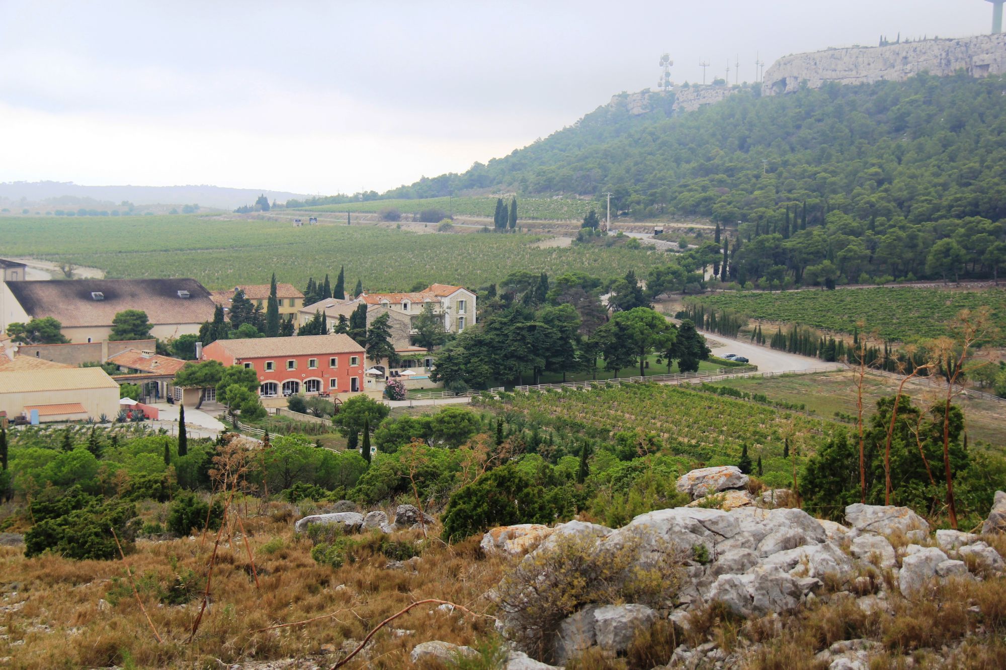 Languedoc wine tasting 036