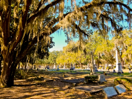Selma Graveyard