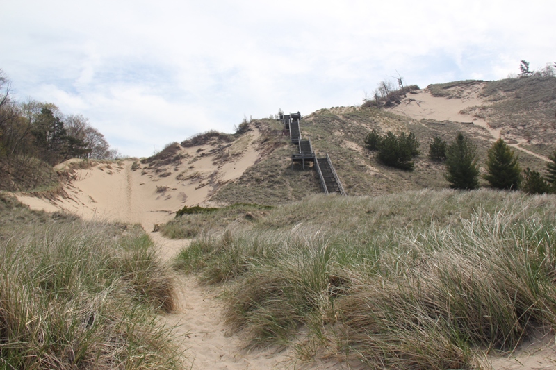 holland sand dune3