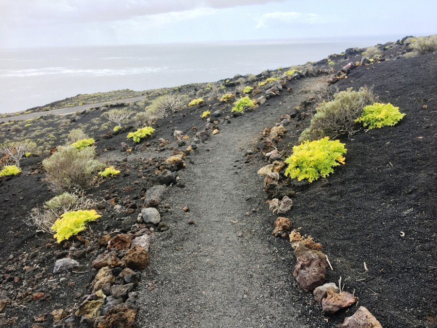 Volcano trail