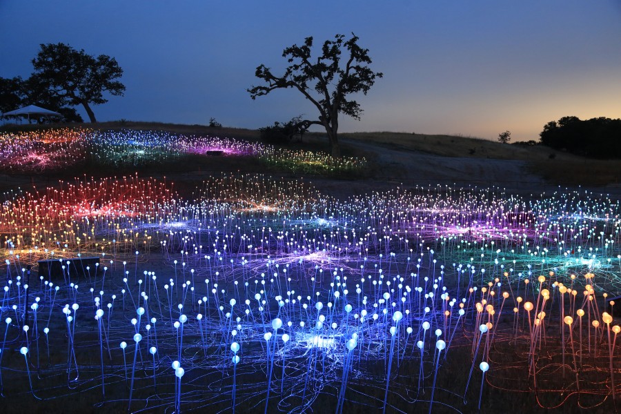 Field of Light at Sensorio Copyright © 2019 Bruce Munro. All rights reserved. Photography by Serena Munro 9