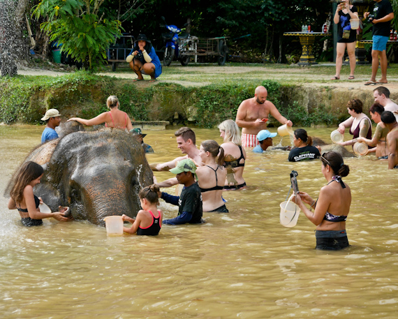 Green Elephant Sanctuary swimming