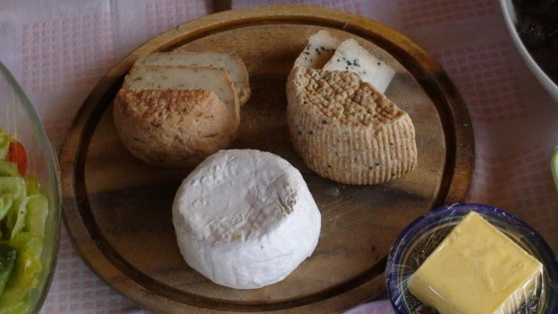 Andy Mossack goes into the desert to go hunting for French cheeses in the Negev.