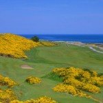 Andy Mossack reviews Royal Dornoch Golf Club, one of Scotland's most iconic courses. RDGC6th12thgreens 624x352