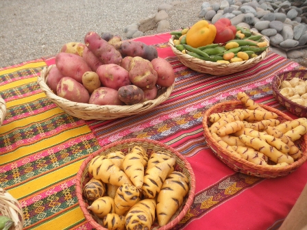 Anthea Gerrie checks out the food and dining scene in Lima as she eats her way around Peru's capital.