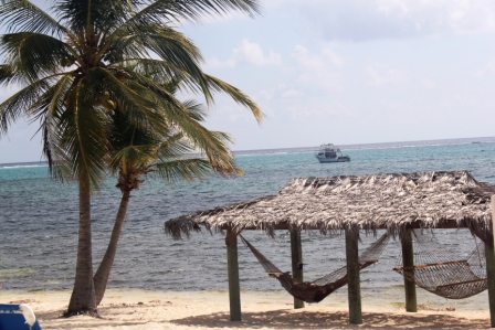 Andy Mossack stays at Little Cayman Beach Resort and doesn't want to leave.