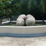 Andy Mossack asks are The Seychelles true Garden of Eden?
