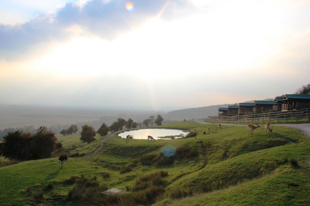 Andy Mossack tries out glamping at Livingstone Lodge and almost forgets he is in Kent. Livingstone Lodge 025
