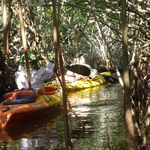 Isabel Conway explores South East Florida and The Everglades to escape the theme parks. P1030137