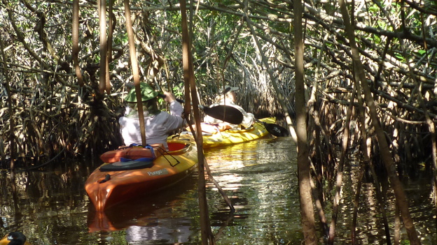 Isabel Conway explores South East Florida and The Everglades to escape the theme parks. P1030137