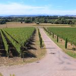 Languedoc wine tasting 049