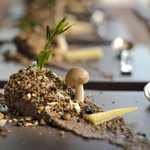 Martin Milesis   fake potato  with mushroom earth black olives and corn