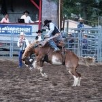 Andy Mossack visits Snowmass in summer and finds Aspen's little sister is coming out of the shadows. Snowmass rodeo 158