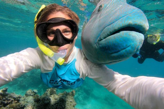 Andy Mossack gets to discover the Great Barrier Reef with Calypso Cruises.