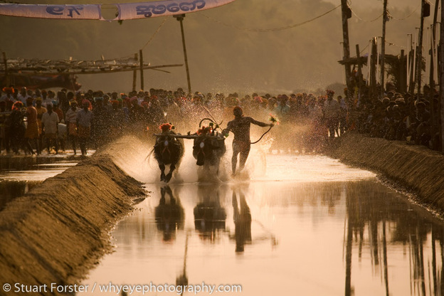 Kambala Buffalo Racing SF Kambala 011