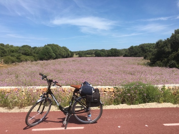 Andy Mossack reports back on touring Menorca by bike with Freewheel Holidays.