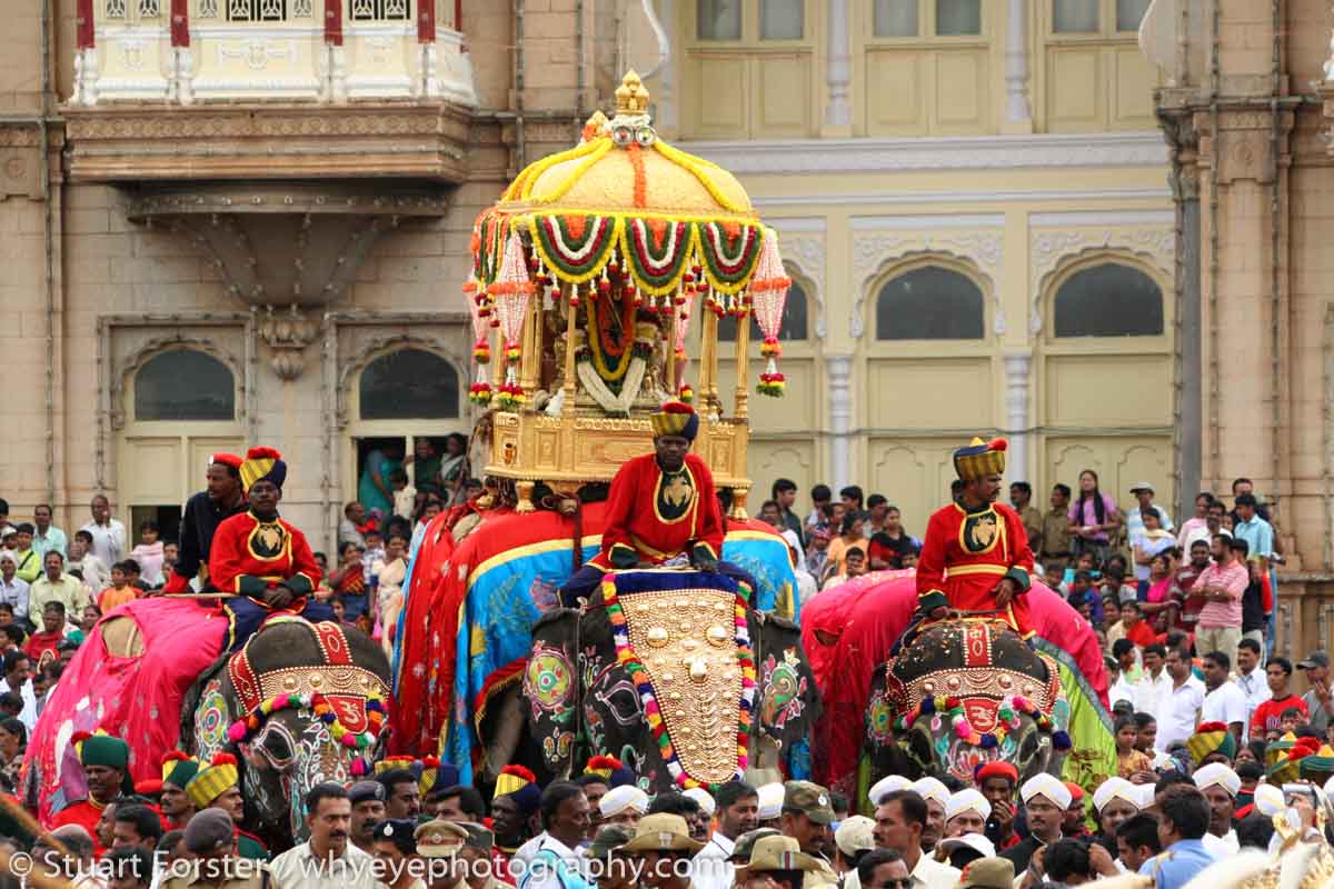 Caparisoned elephants lead the Dasara procession in Mysore, India. The procession starts from the Amba Vilas Palace (also known as Mysore Palace) on the tenth and final day of the Dasara Festival. The Procession led by an elephant carrying a golden howdah winds through the streets of the city and ends at Banni Mantap. Groups of performers, musicians and artists from around Karnataka participate in the celebration. The Dasara festivities can be traced back to the Puranas. The very first Dasara in the history of Mysore state can be traced back to the Mahnavami of the Raja Wadiyar in 1610, celebrated at Sriranapatnam. The celebrations honour the victory of the Hindu godess Chamundeswari over the buffalo headed demon Mahishasura.