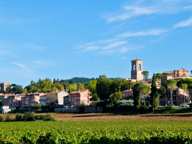 torgiano-with-vineyards