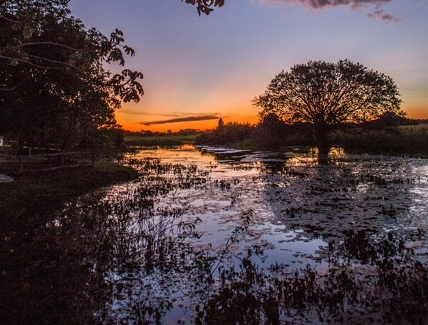 Exploring Brazil's Mato Grosso 300dpi 2016 68