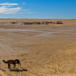 Rupert Parker goes searching for famous film locations in Tunisia Mos Espa with Camels