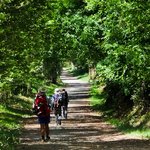 Rupert Parker gets the full pilgrim experience as he goes walking the Camino de Santiago Galicia Wooded Pathways