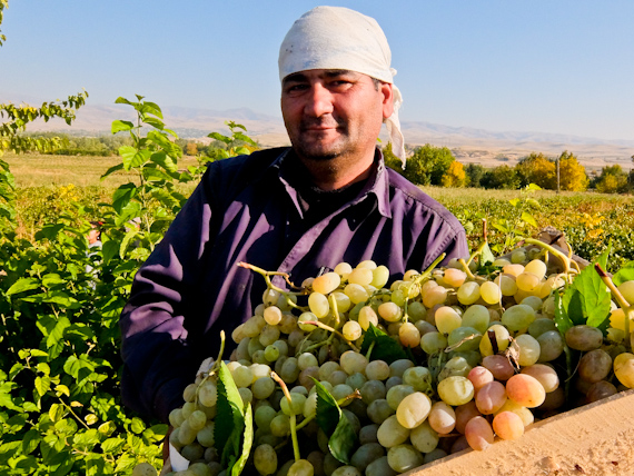 Rupert Parker iuncovers the secrets of the Uzbekistan Wine Route while having the odd tipple of course.
