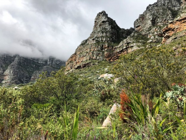 Brian Berkman discovers the best way of climbing Table Mountain 