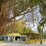 Kot Nou restaurant