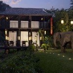 Andy Mossack plays with elephants at Anantara Golden Triangle Elephant Camp & Resort