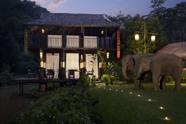 Andy Mossack plays with elephants at Anantara Golden Triangle Elephant Camp & Resort