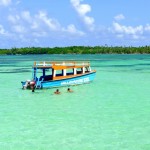 Judith Baker offers up her own Insider Guide to Tobago. Nylon Pool