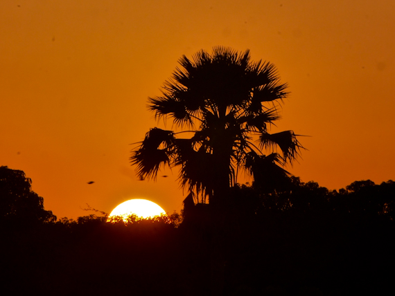 Rupert Parker discovers the Gambia as he ventures east upriver from the capital Banjul Sunrise at Bao Bolong Wetland Reserve