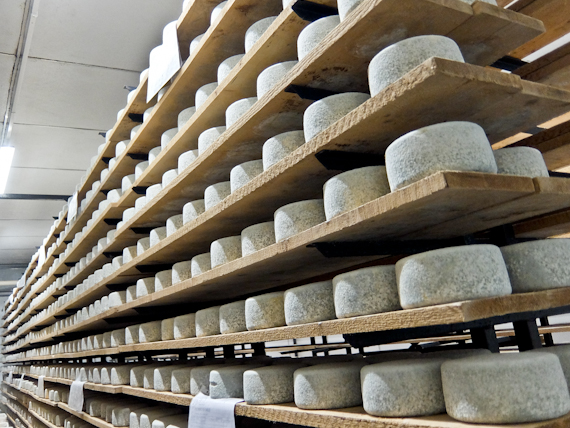 Pecorino Toscana