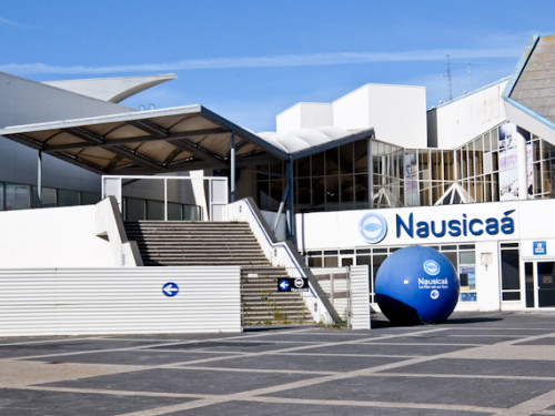 Nausicaa e1599664433845