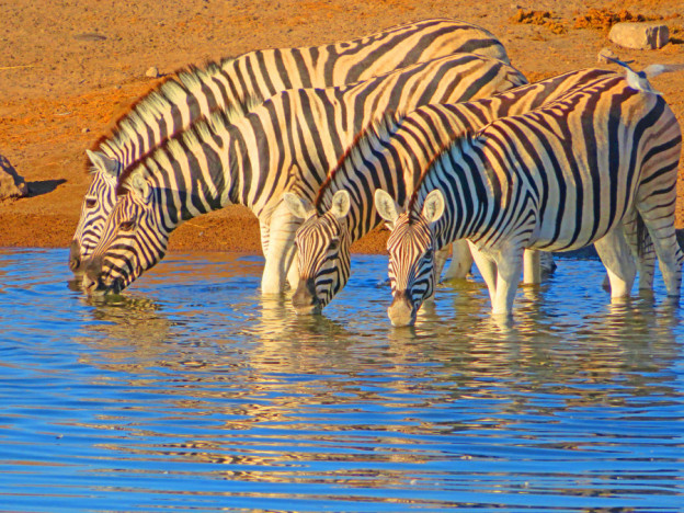 Namibia