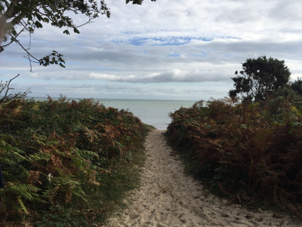 Anthea Gerrie takes a Dorset staycation and  test-drives a Ford Transit Custom Nugget on a tour around England’s Jurassic Coast IMG 8497 e1636733464706