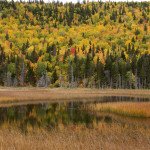 visiting Quebec SF Quebec Gaspesesie 015 e1653143471566