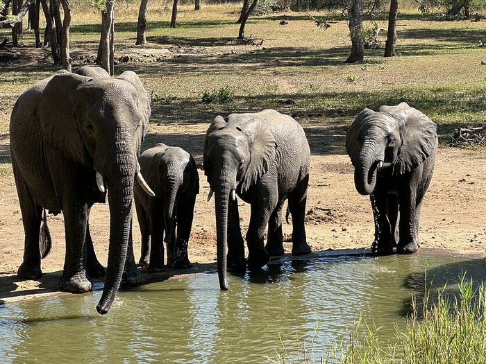 Exploring Malawi. The Warm Heart Of Africa