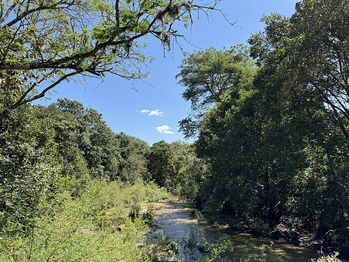 Views over the Lingadzi River Lilongwe Wildlife Centre e1716567453194