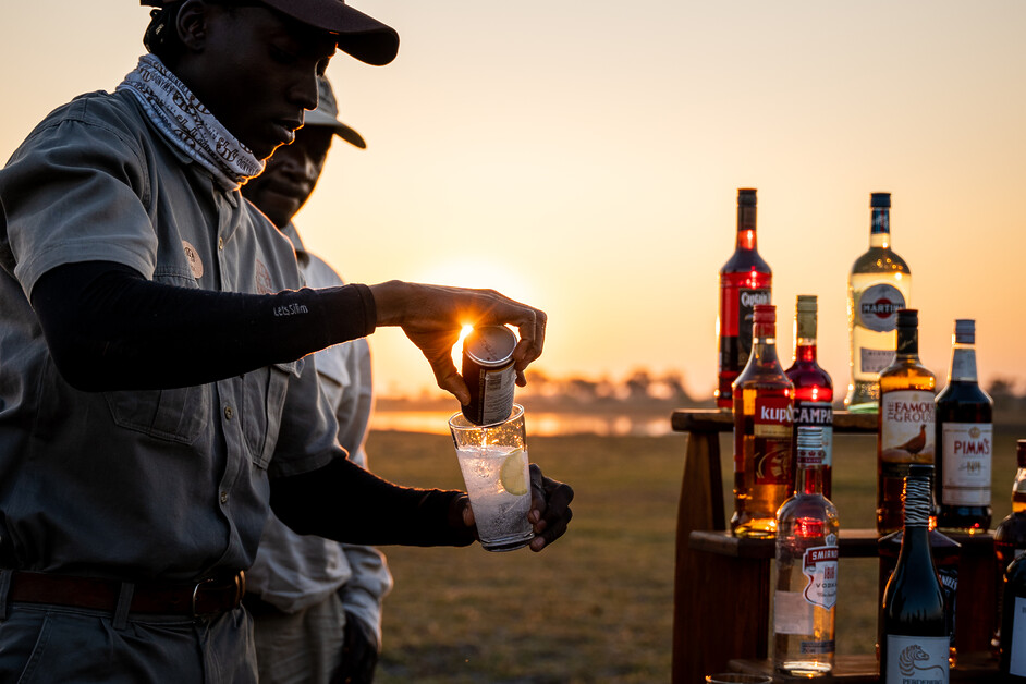 Best Botswana Safaris