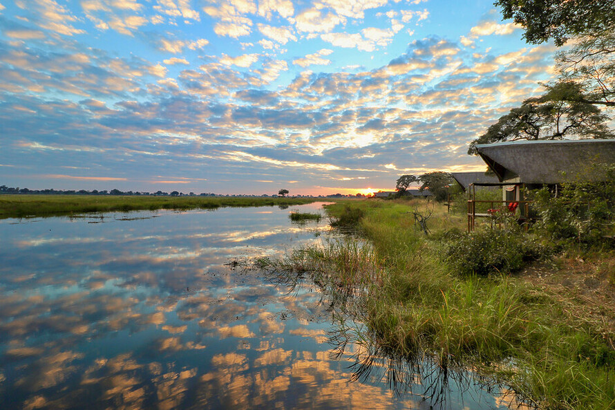 Best Botswana Safaris