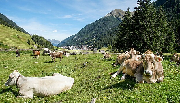 Ischgl in Summer