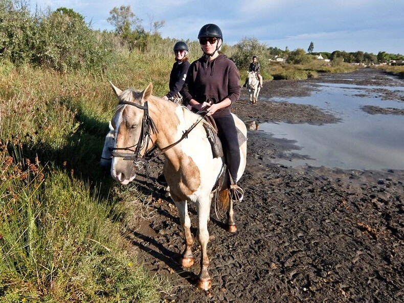 Canal Cruising in The Camargue