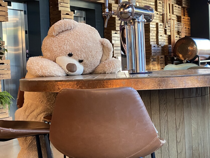 Moxy Edinburgh Fountainbridge teddy bear (C) Andy Mossack