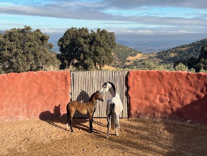  Lynne Coates luxuriates in the secluded splendour of Finca La Donaira tucked away in the Andalusian mountains.