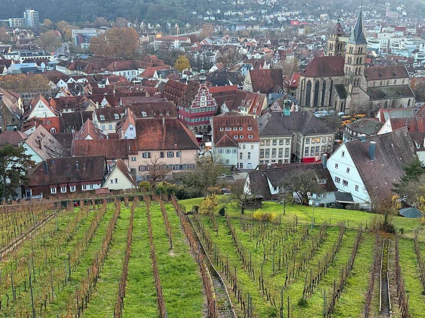 Christmas Markets in Baden-Württemberg