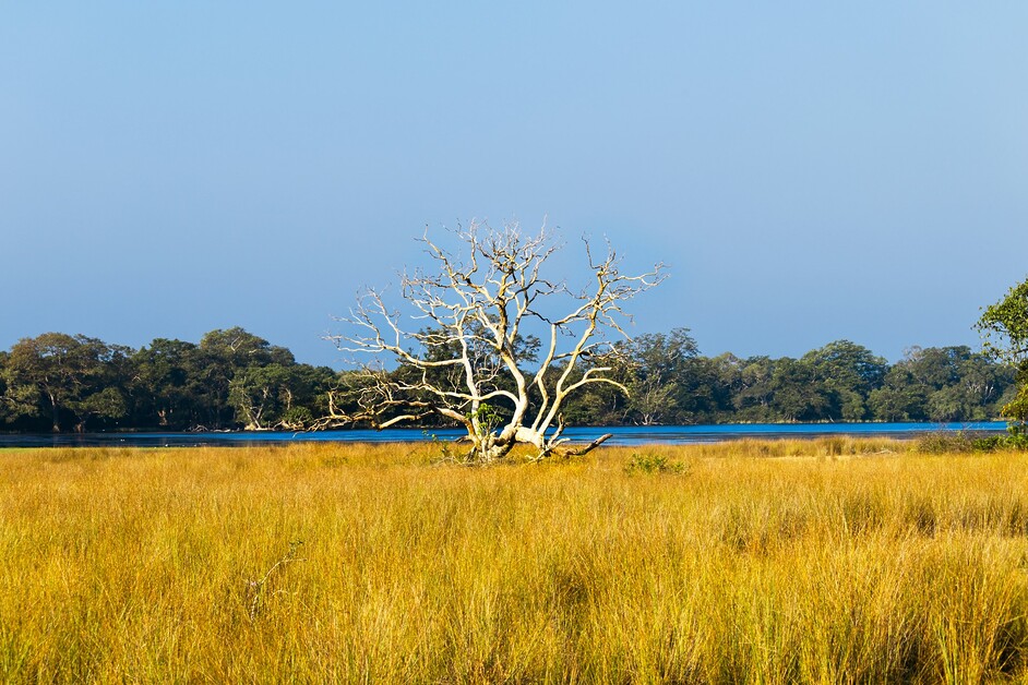 Insider Guide To Northern Sri Lanka