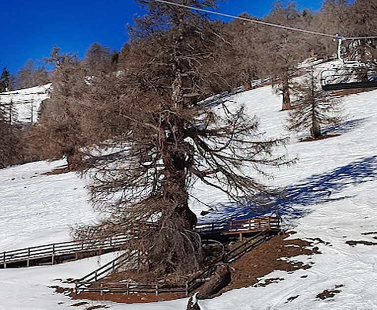 Michael Cranmer goes skiing in Nendaz And Checks Out The World’s Highest Zipline, Rides Above A Thousand-Year-Old Tree, And Tries Rando’ Miam. Read On…