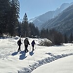 Guide to Styria.