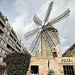 Hidden Palma. (C) Andy Mossack